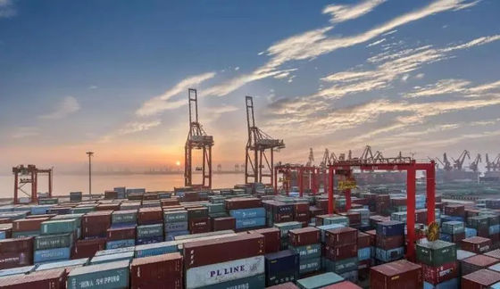 خدمة التخليص الجمركي الصيني لميناء نينغبو لوكيل استيراد الصادرات LCL