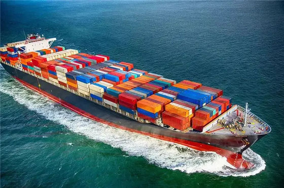 Shekou Port China خدمة التخليص الجمركي NVOCC China Shipping Broker