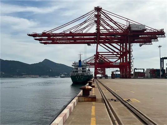 NVOCC Ocean Freight Forwarder Break Cargo البضائع السائبة