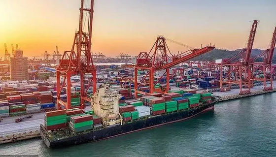 Công ty giao nhận vận tải biển quốc tế 20GP Trung Quốc đến Biển Đen