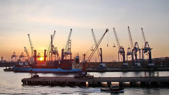 Trung Quốc đến Ấn Độ Giao nhận vận tải đường biển quốc tế Vận chuyển hàng hóa đường biển hàng tuần