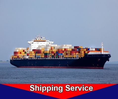 FCL Sea Freight Forwarder , Ocean Shipping Logistics Shenzhen To Hamburg