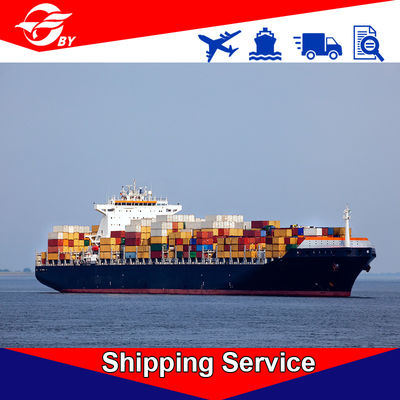 Sea Freight DDP Delivery Services Ningbo To Tacoma Denver San Antonio