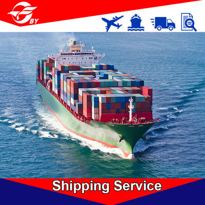 DDP Door To Door Sea Freight Forwarding Services Qingdao - Jacksonville Charlotte Norfolk