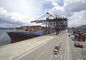 Công ty giao nhận vận tải đường biển NVOCC Vận chuyển đường biển từ Trung Quốc đến Dubai