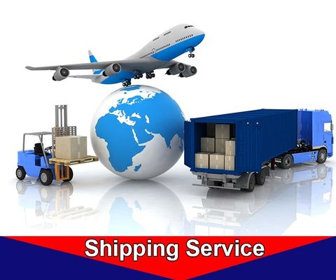 Professional Customs Declaration Service For USA Europe Import And Export