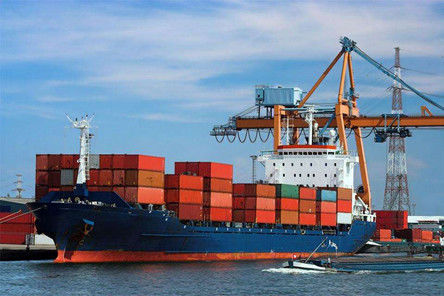 Experienced Door To Door Sea Freight Forwarding Services China To USA