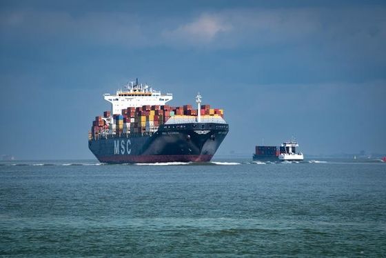 Sea Air Door To Door Giao nhận vận chuyển hàng hóa Giao nhận hàng hóa Trung Quốc đến Thổ Nhĩ Kỳ
