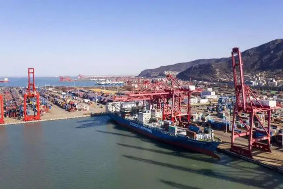 China To Russia LCL Sea Shipment Fast Services For Supply Chain