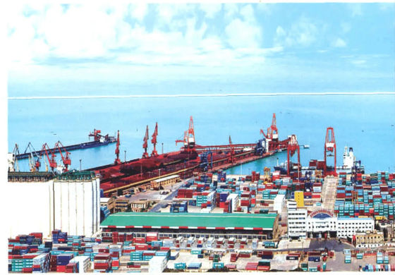 DG Cargo International Freight Forwarder China Customs Clearance
