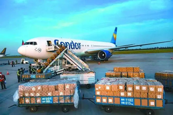 DG Cargo Air Freight Forwarder China To USA All day