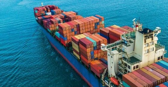 FCL International Ocean Cargo Forwarder Shenzhen To Karachi