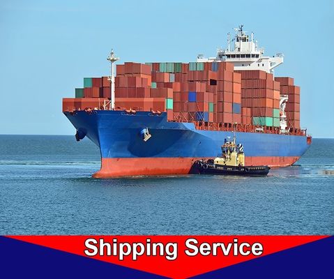 Reliable Sea Freight Forwarder , Ocean Cargo Shipping Services Shenzhen To Amsterdam