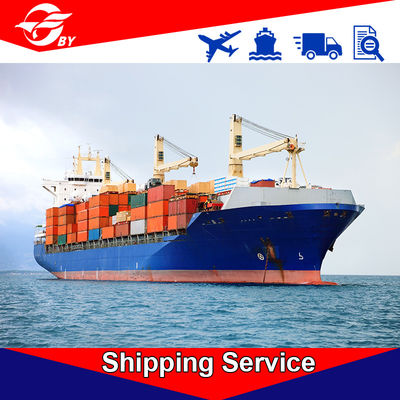 Credible DDP Delivery Services Shanghai To USA Long Beach San Francisco Chicago