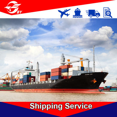 Ocean Freight Delivery Service DDP Ningbo To Philadelphia Atlanta Savannah