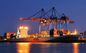 China To Singapore Cargo Door To Door Forwarder NVOCC