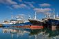 China Ports International Ocean Freight Forwarder From China To Jordan