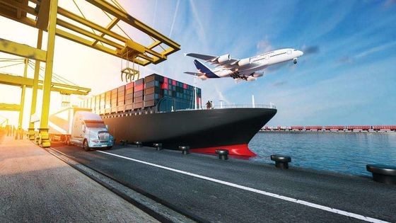quality International Sea Cargo Services FCL Ocean Freight China To Vietnam 20GP 40HQ factory