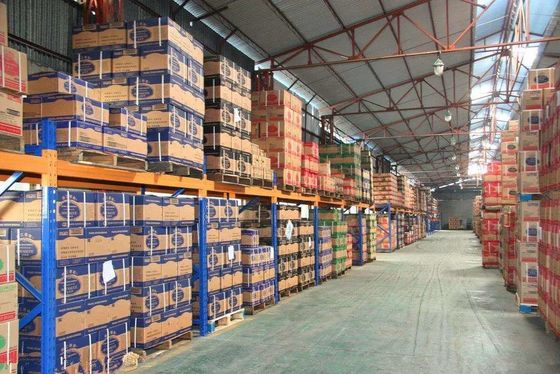 Quality Shanghai Port Logistics Warehousing Transportation Warehousing FOB / EXW / CIF factory