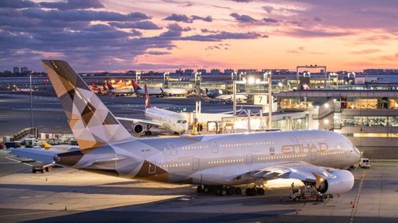Qualità Aereo da trasporto internazionale di NVOCC FCL Cina in India fabbrica