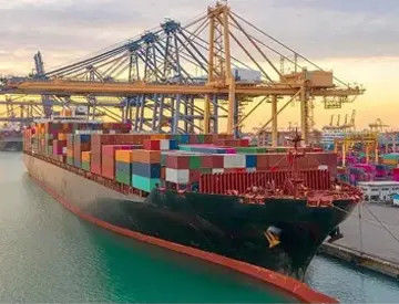 Good price 7x24H Logistics Warehousing Services In Shekou Port online