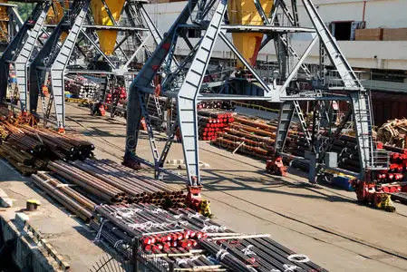 Good price FCL International Ocean Freight Forwarders China To Middle East online