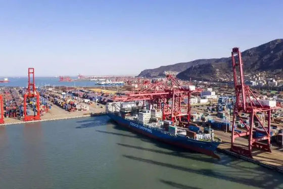 qualidade China aos serviços rápidos da expedição do mar de Rússia LCL para a cadeia de aprovisionamento fábrica