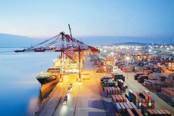 quality 20 GP 40GP 40GH LCL International Freight Sea Freight To Karachi factory