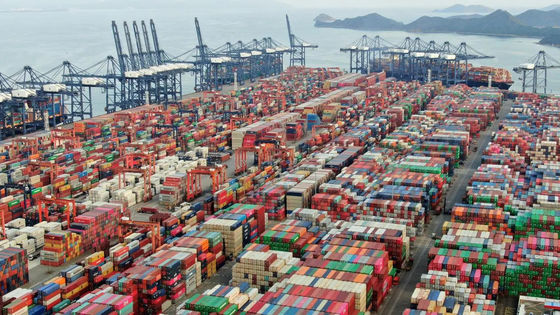 quality Xiamen Port China Customs Clearance China Customs Declaration Service factory
