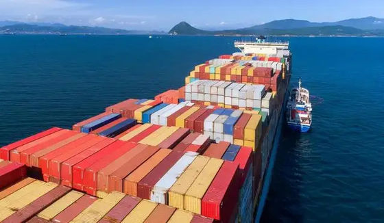 quality NVOCC WCA Ocean Freight factory