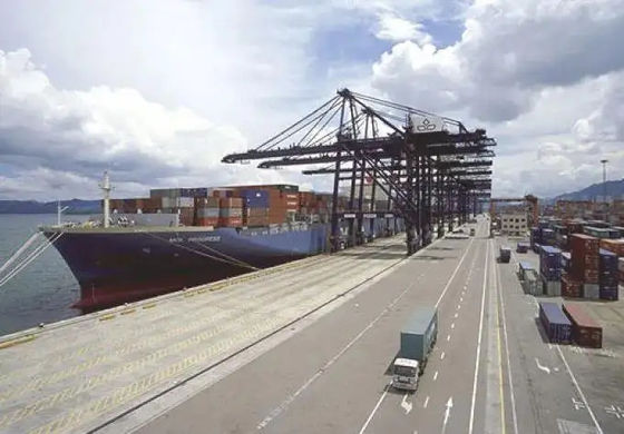 Good price NVOCC Ocean Freight Forwarder Sea Freight From China To Dubai online