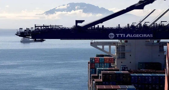 Good price EXW International Ocean Freight Forwarder Nanjing Shanghai To Singapore online