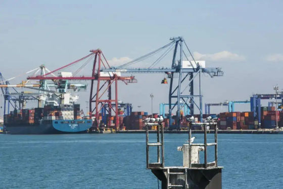 Good price Shanghai Ningbo Tianjin Warehousing Distribution Services  Warehouse Storage Services online