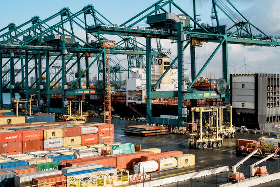 Good price EXW General Cargo LCL Ocean Freight  Shanghai To Riyadh online