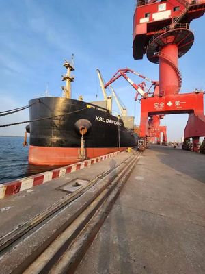 ราคาดี FOB International Ocean Freight Forwarder Lianyungang Xingang ไปสิงคโปร์ ออนไลน์