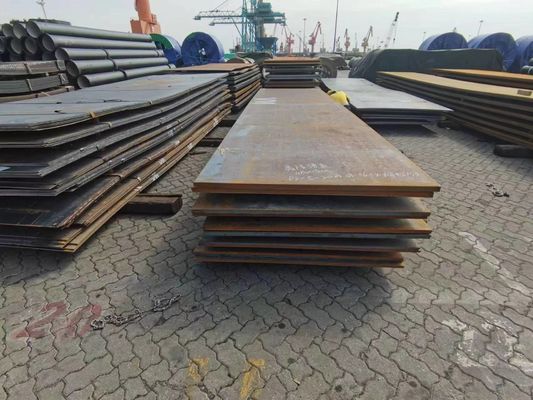 LCL  International Sea Cargo Forwarder Nanjing Shanghai To Egypt